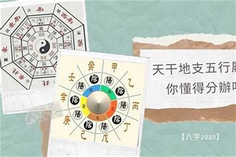 五行怎麼算|生辰八字算命、五行喜用神查詢（免費測算）